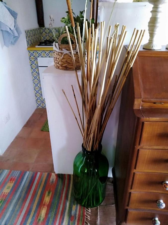 Il Corbezzolo Suite Appartament Castelluzzo Buitenkant foto